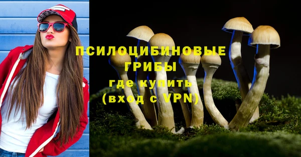 шишки Горнозаводск