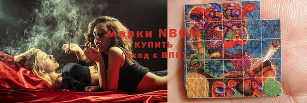 шишки Горнозаводск