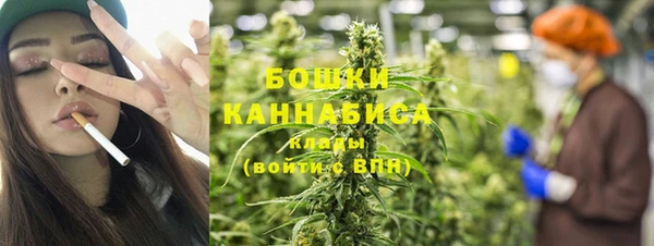 шишки Горнозаводск