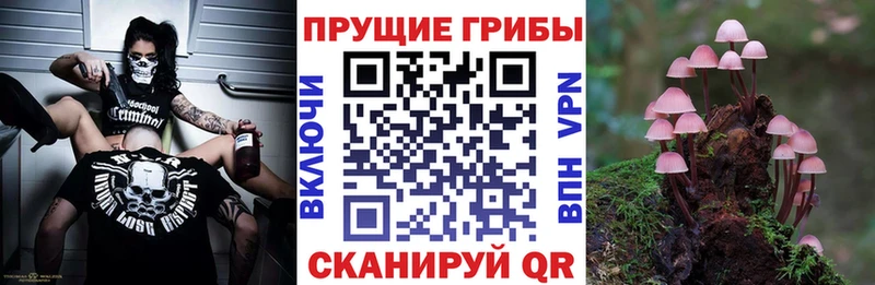 Псилоцибиновые грибы ЛСД  omg зеркало  Обь  цены  
